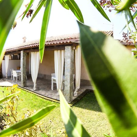 Domu Virginia Bed & Breakfast Castiadas Dış mekan fotoğraf